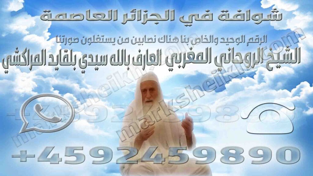 شوافة في الجزائر العاصمة 2 شوافة في الجزائر العاصمة