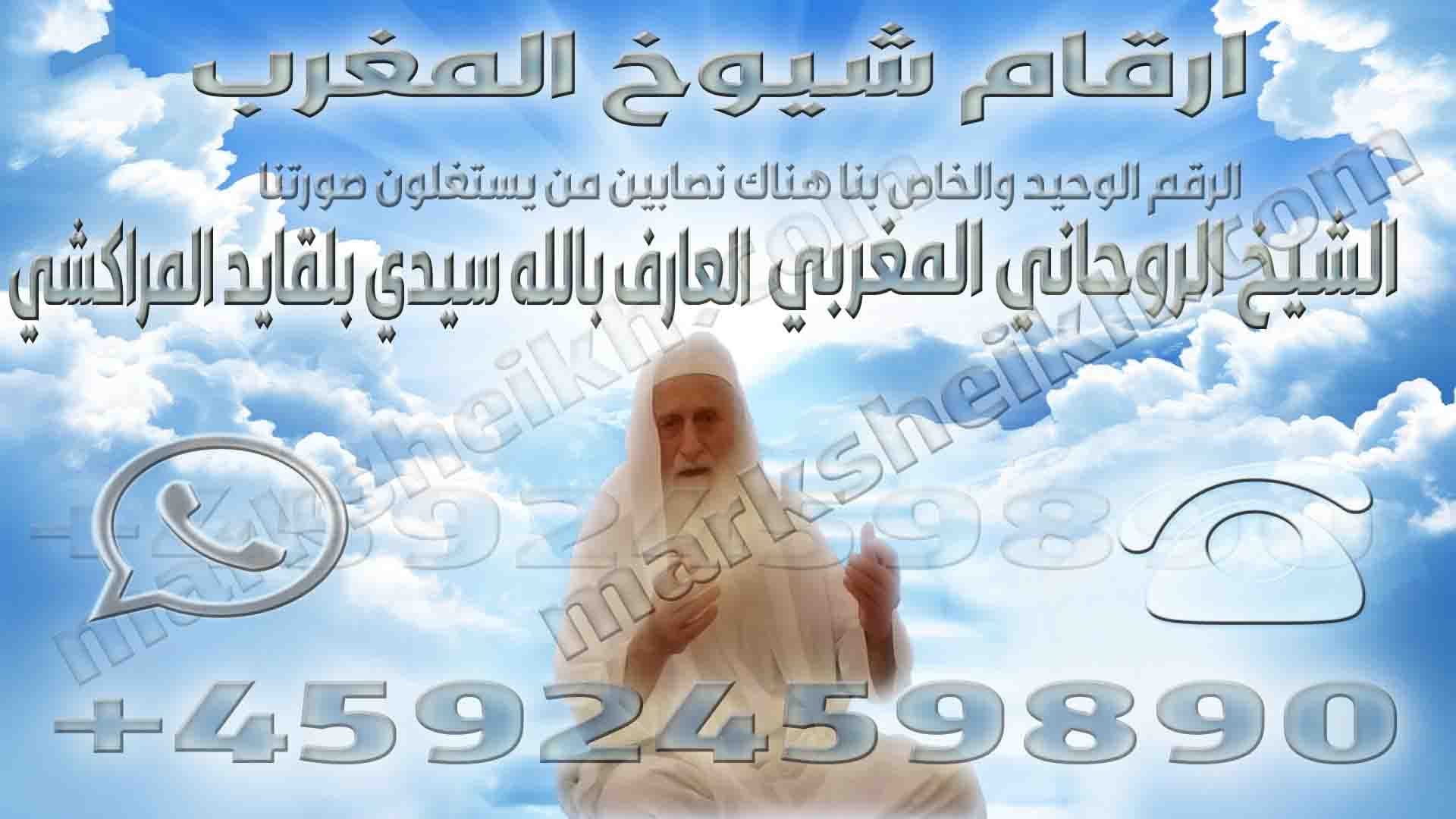 ارقام شيوخ المغرب 1 ارقام شيوخ المغرب