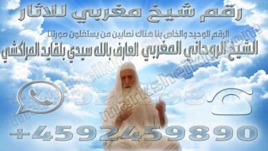 رقم شيخ مغربي للاثار