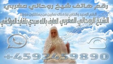 رقم هاتف شيخ روحاني مغربي
