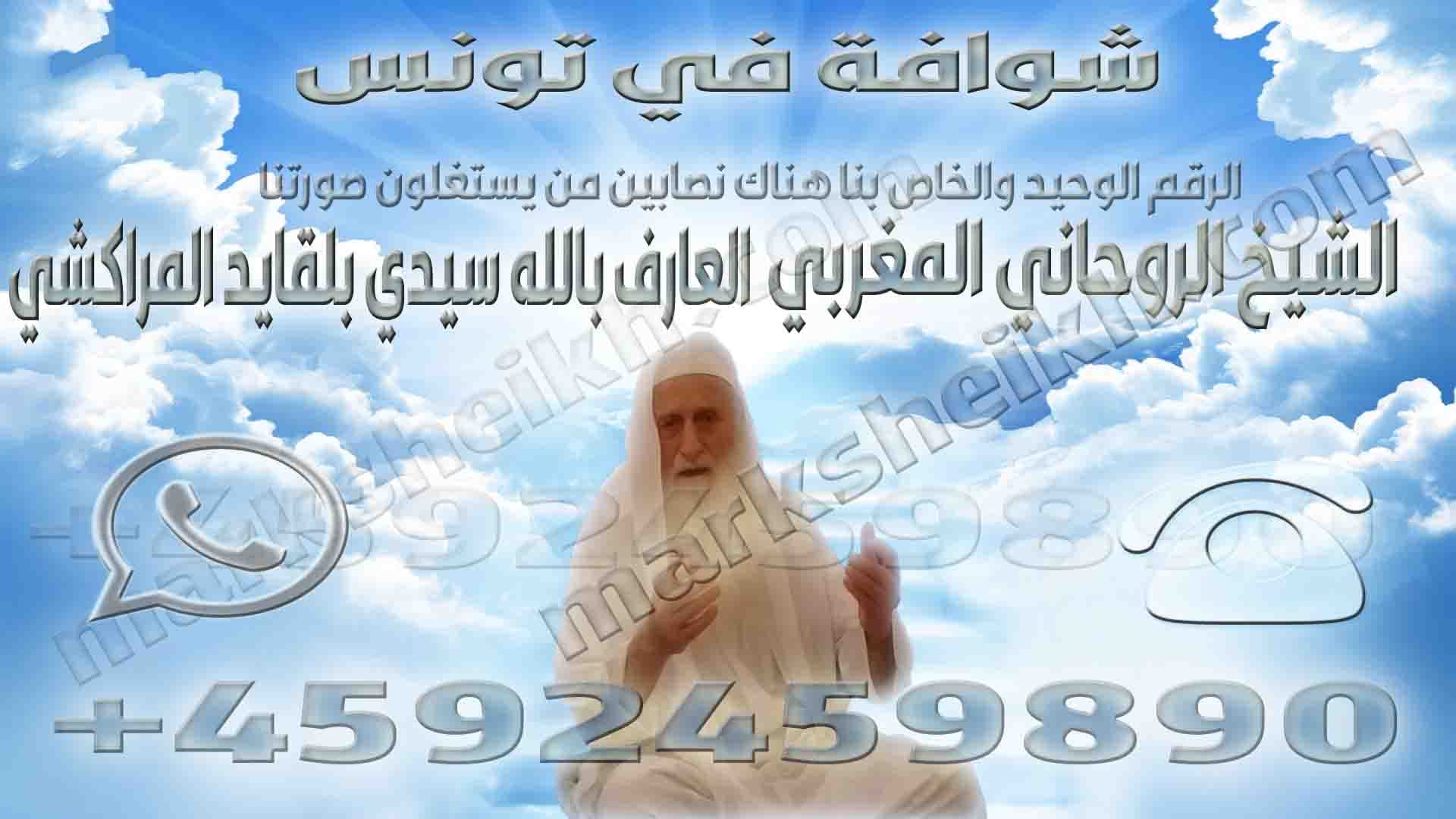 شوافة في تونس 1 شوافة في تونس