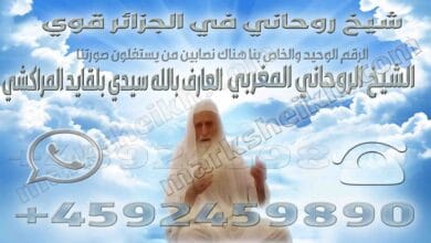 شيخ روحاني في الجزائر قوي