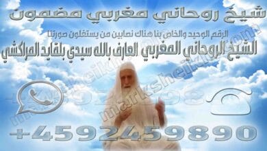 شيخ روحاني مغربي مضمون